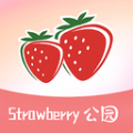 草莓公园纯净版