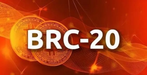 BRC20龙头币在线版