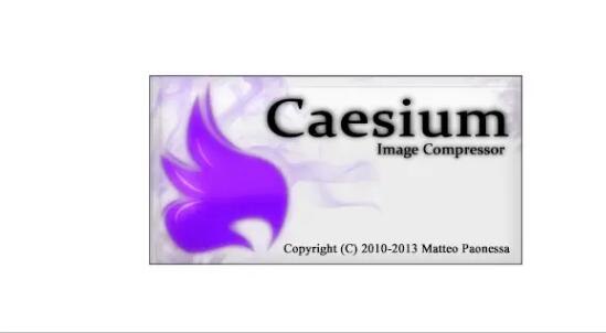 Caesium Image Compressor免费版 v1.7.0(暂未上线)截图3