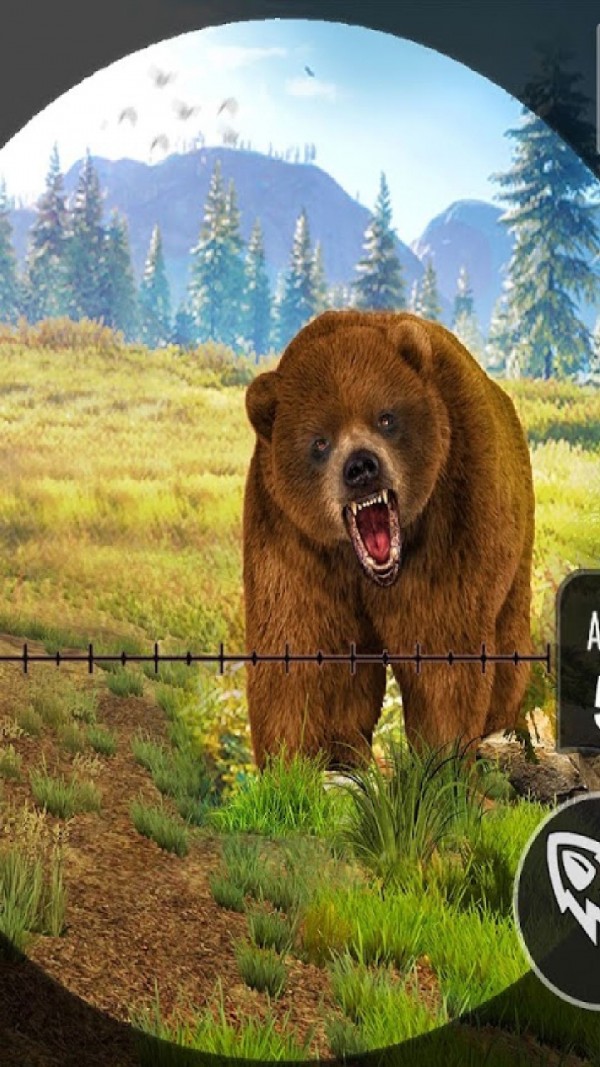 野熊动物狩猎截图5