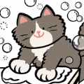猫猫洗衣九游版