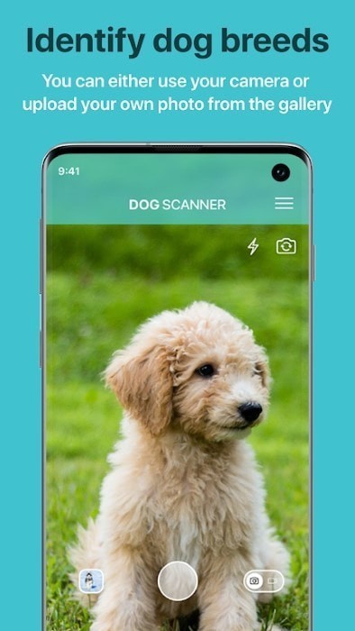 狗狗鉴定器app v12.1.0截图2