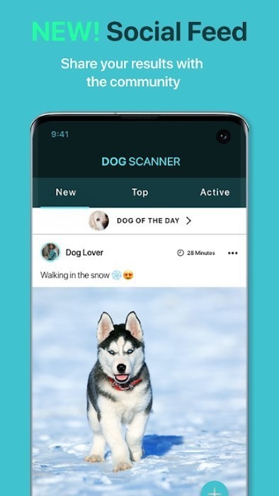 狗狗鉴定器app v12.1.0截图4