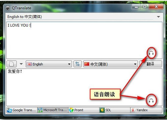 翻译软件QTranslate绿色版 v6.10.0截图2