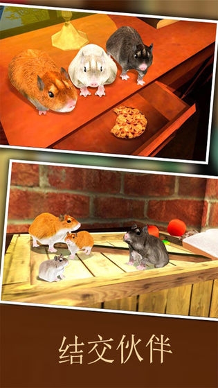 疯狂地鼠3D模拟截图4