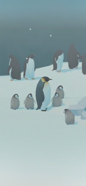 企鹅岛百度版截图4