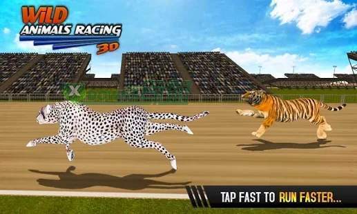 野生动物赛车3D去广告版截图2