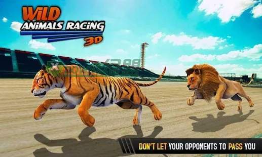 野生动物赛车3D去广告版截图3
