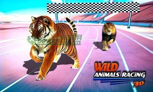 野生动物赛车3D去广告版截图4