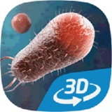 细菌互动教育3D九游版