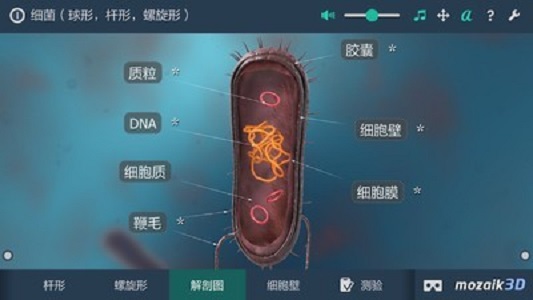 细菌互动教育3D九游版截图3