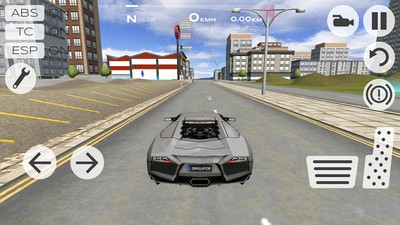 赛车模拟驾驶安卓版截图1