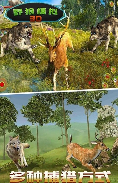 野狼模拟3D免费版截图3